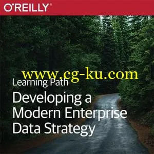 Learning Path: Developing a Modern Enterprise Data Strategy的图片1