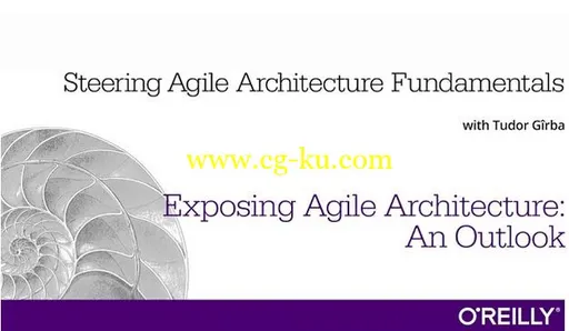 Exposing Agile Architecture的图片1