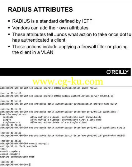 Securing Enterprise LANs Using the Junos OS Training Video的图片2