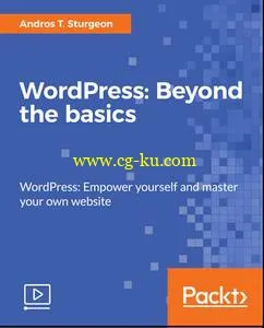 WordPress: Beyond the basics的图片1