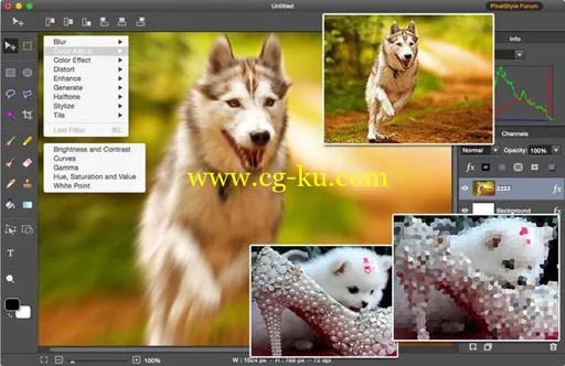 PixelStyle Photo Editor 3.6.1 MacOSX的图片1