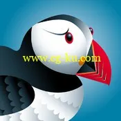 Puffin Web Browser 3.2.4的图片1