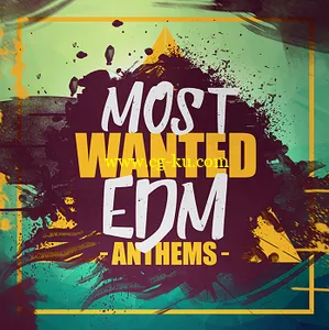 Elevated EDM Most Wanted EDM Anthems WAV MiDi的图片1