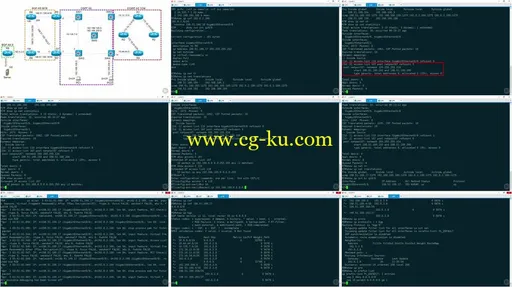 Troubleshooting Cisco Networks: Infrastructure Services for CCNP R&S 300-135 TSHOOT的图片2