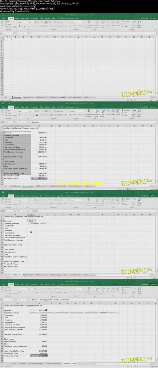 Excel 2016 For Dummies Depicting Data Course的图片2