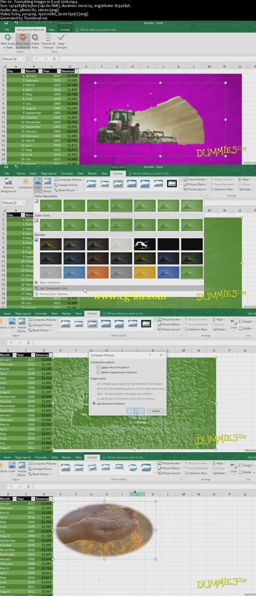 Excel 2016 For Dummies Enhancing & Sharing Data Course的图片2