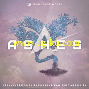 Echo Sound Works Ashes Vol 1 WAV MiDi MASSiVE SERUM TUTORiAL LiVE的图片1