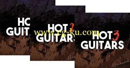 Blackwood Samples Hot Guitars 1 – 3 WAV的图片1