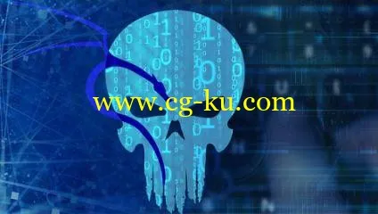 Kali Linux 101的图片1