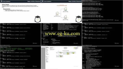 Nagios Certified Professional的图片2