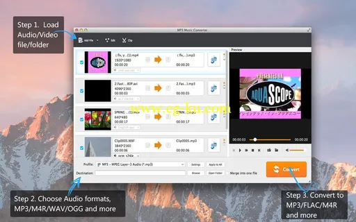 MP3 Music Converter 1.0.35 MacOSX的图片1