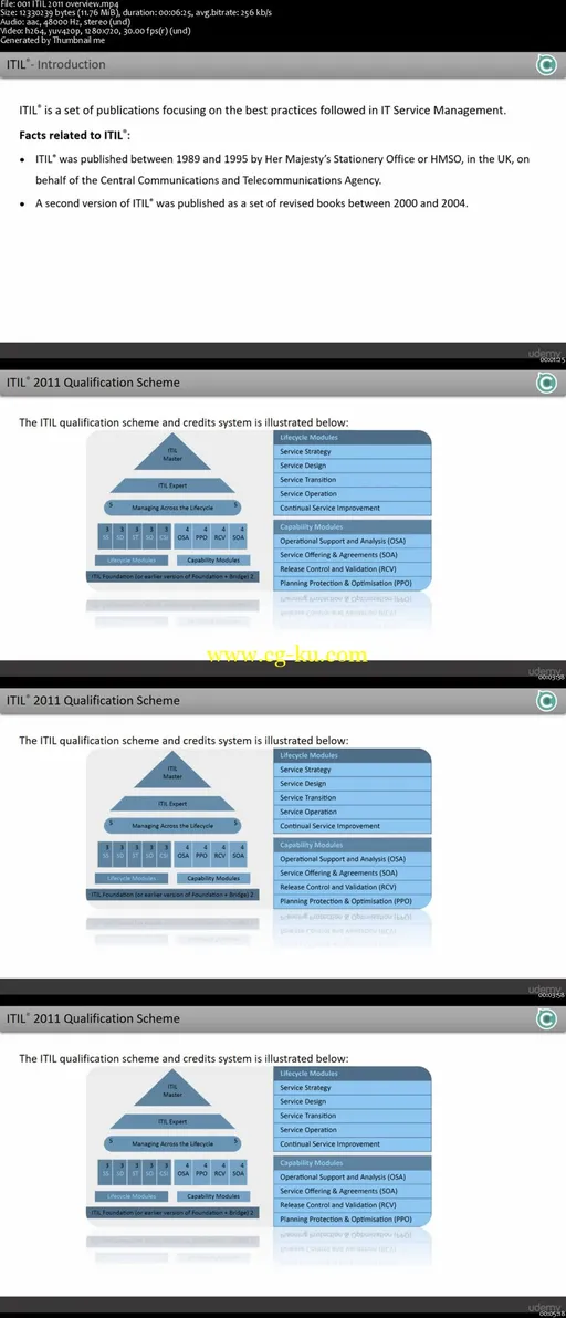 Introduction to ITIL® 2011的图片2