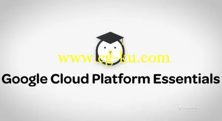 Google Cloud Platform Essentials的图片1