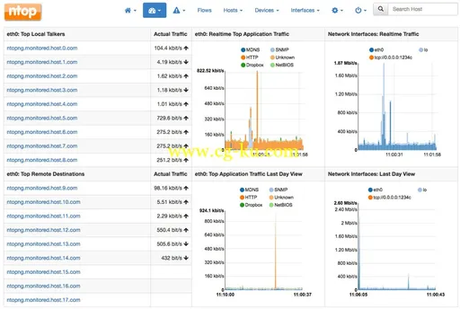 ntopng 2.4.160627 Professional的图片1