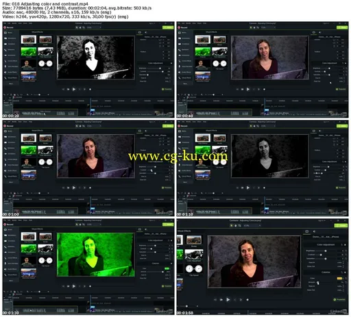 Lynda – Camtasia Advanced Techniques: Video-Based Training的图片2