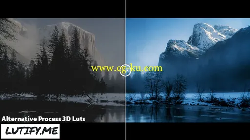 Alternative Process 3D Luts Win/Mac的图片1