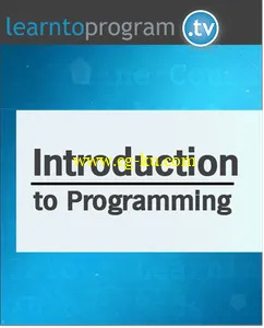 Introduction to Programming的图片2