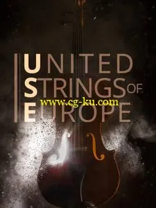 Auddict United Strings of Europe First Violins KONTAKT的图片1