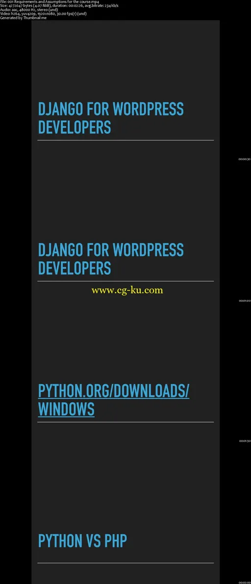 Django for WordPress Developers的图片2