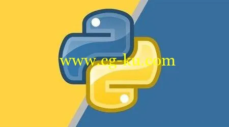 Top Python Questions的图片1