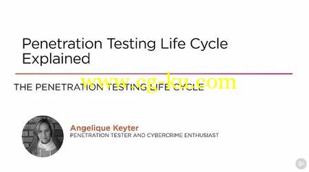 Penetration Testing Life Cycle Explained的图片2