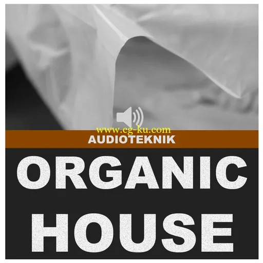 Audioteknik Organic House的图片1