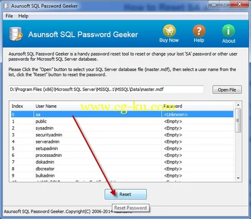 Asunsoft SQL Password Geeker 5.0的图片1