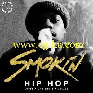 Industrial Strength Smokin Hip Hop WAV MASSiVE的图片1