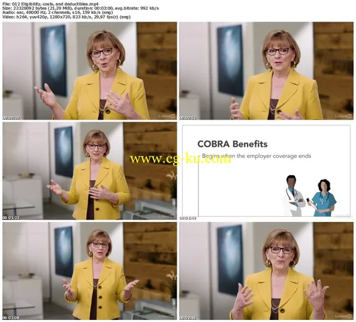 Lynda – Understanding Your Compensation and Benefits的图片2