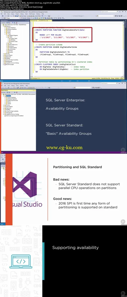 SQL Server Standard Edition Survival Guide的图片1