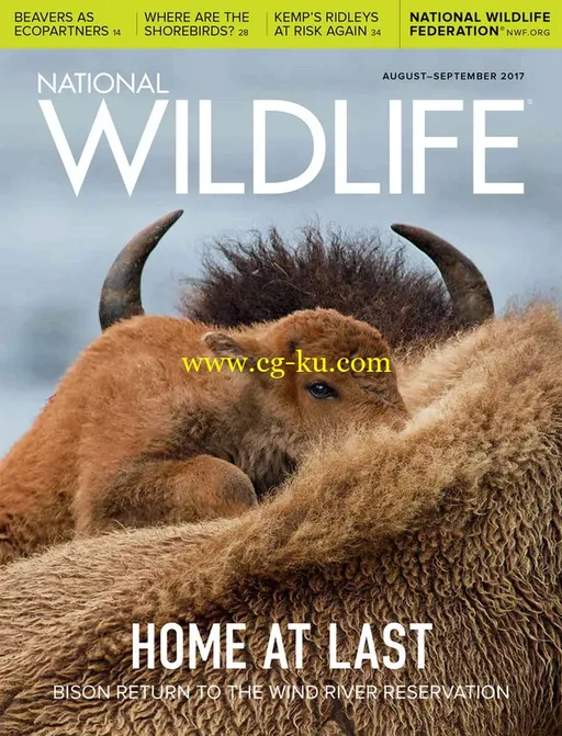 National Wildlife – August/September 2017-P2P的图片1