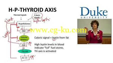 Coursera – Introductory Human Physiology的图片4