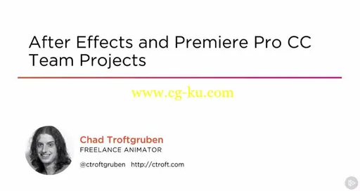 After Effects and Premiere Pro CC Team Projects的图片1