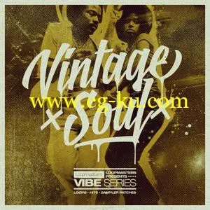 Loopmasters VIBES Vol 3 Vintage Soul MULTiFORMAT的图片1