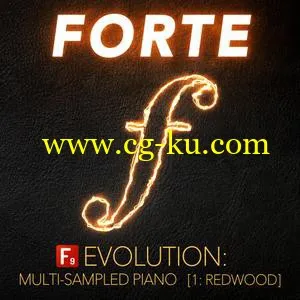 F9 Audio F9 Forte Evolution: Redwood Club Piano For Logic EXS的图片1