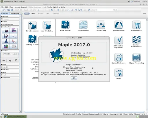 Maplesoft Maple 2017.0 Linux的图片2