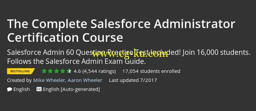 The Complete Salesforce Administrator Certification Course的图片2