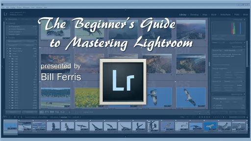 The Beginner’s Guide to Mastering Lightroom的图片1