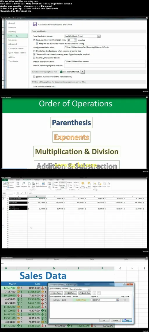 Master Excel 2013: Beginners的图片2