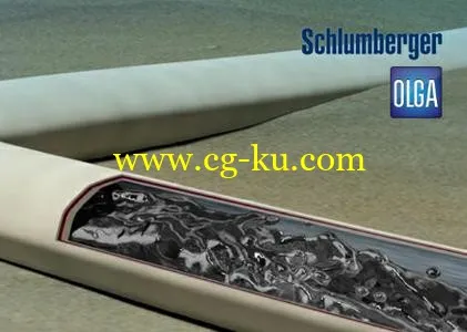 Schlumberger OLGA 2016.2.1 x64的图片1