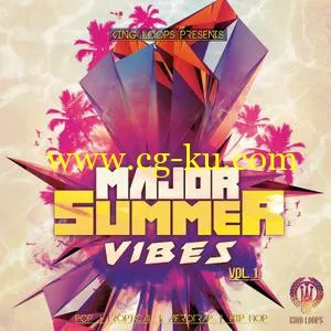 King Loops Major Summer Vibes Vol 1 WAV MiDi SYLENTH1的图片1