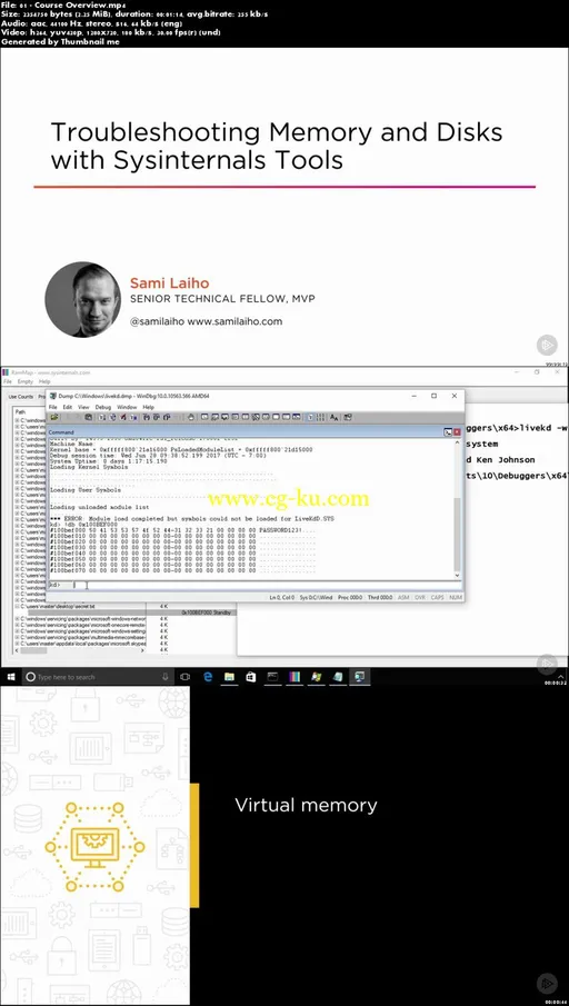 Troubleshooting Memory and Disks with Sysinternals Tools的图片2