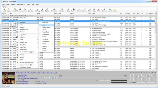 MP3 Tag Expresss 6.9.5 + Portable的图片1