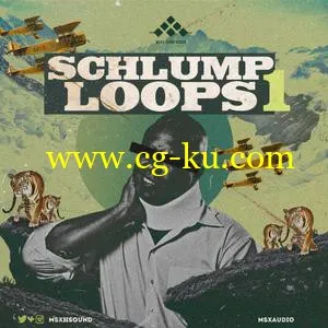 MSXII Sound Design Schlump Loops 1 WAV的图片1