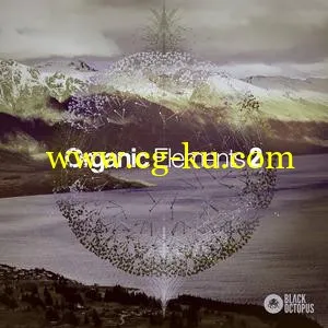 Black Octopus Sound Organic Elements 2 WAV的图片1