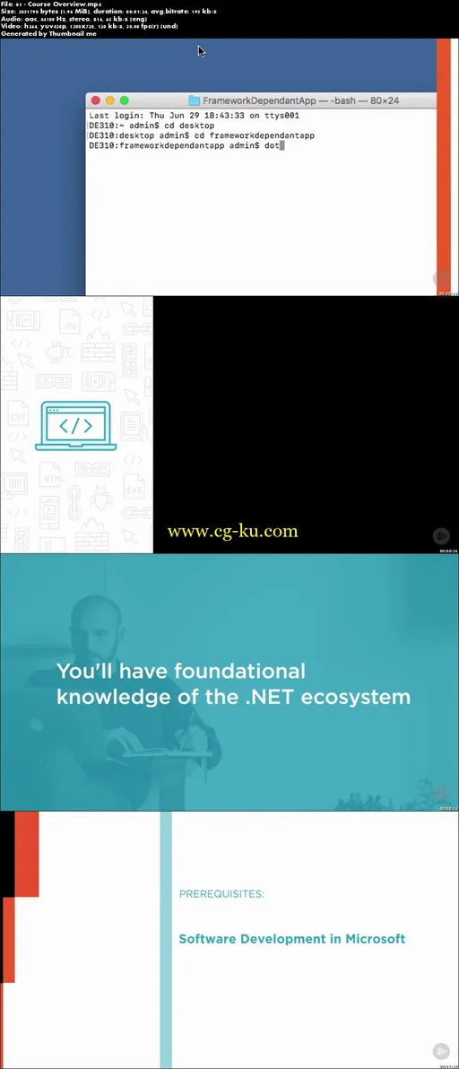 The .NET Ecosystem: The Big Picture的图片2