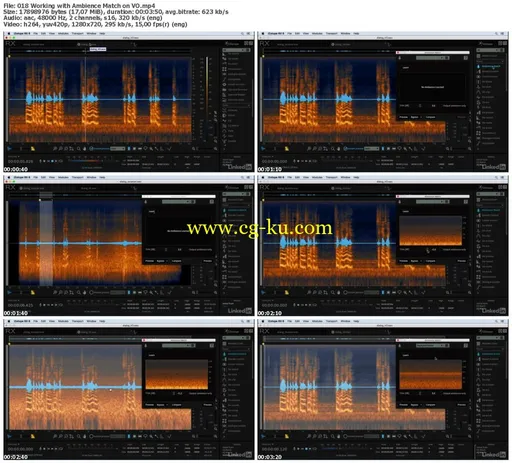 Lynda – Learning iZotope RX 6的图片2