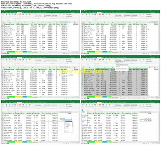 Lynda – Excel 2016: Avoiding Common Mistakes的图片1