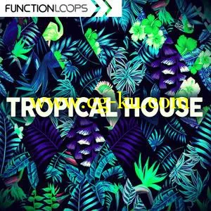 Function Loops Tropical House WAV MiDi SPiRE MASSiVE LiVE的图片1