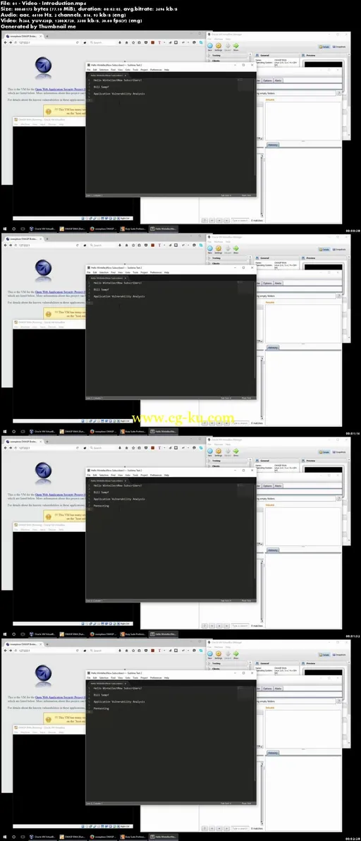 Application Vulnerability Analysis, Part 1: Introduction and Tools的图片1